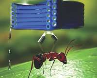 A fast, low-voltage actuator for soft and wearable robotics