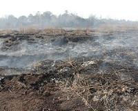Peat fires in Sumatra strengthen in El Nino years