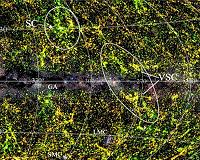 Supercluster of galaxies found hidden by the Milky Way
