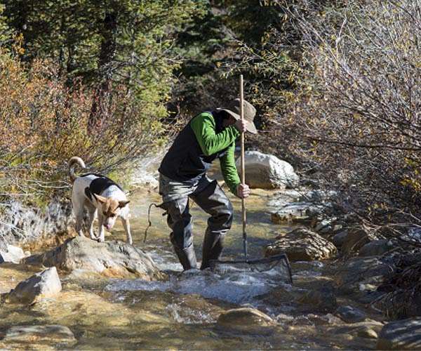 Within sight of New York City, a despoiled river comes back to life
