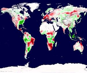 Drought Drives Decade-Long Decline In Plant Growth
