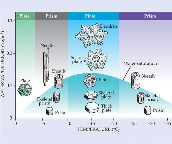 Simulations link ice surface water film to changing snow crystal shapes