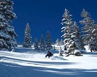Slalom course for ski areas facing future without snow