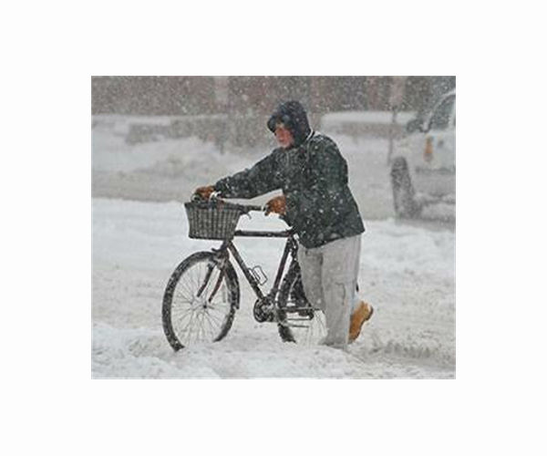 Unequal cycling boom: bicycles are increasingly turning into status symbols