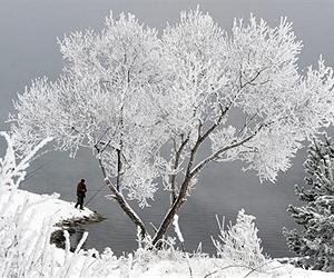 Five dead in southeast Europe snowstorms