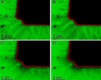ORNL microscopy system delivers real-time view of battery electrochemistry