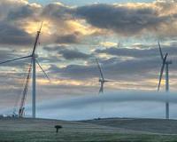 Second stage of Snowtown Wind Farm blows away the competition