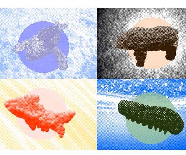 A better way to control shape-shifting soft robots