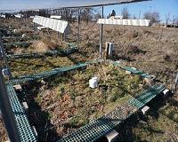 Limited soil nutrients may hamper plants ability to slow climate change