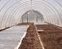 Nanoparticles and bioremediation can decontaminate polluted soils