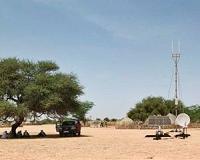 Save the trees, Niger urges ahead of roast sheep festival
