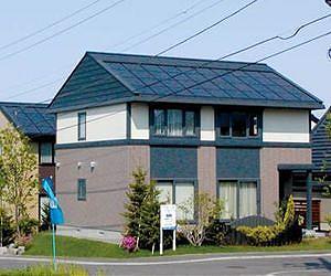 Japan firm develops 'sun-chasing' solar panels