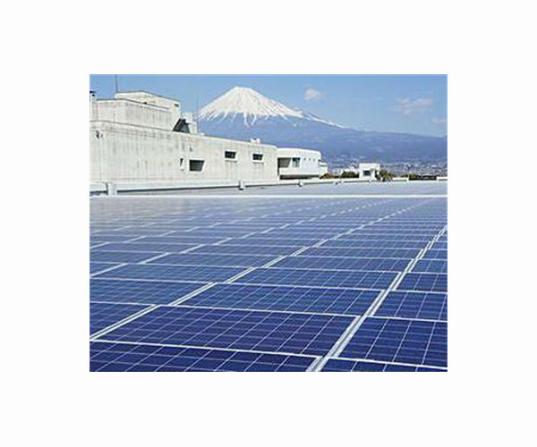 Major firms urge Japan to bolster 2030 renewables goal