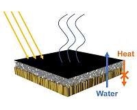 Purifying water with the help of wood, bacteria and the sun