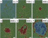 Penn research helps uncover mechanism behind solid-solid phase transitions