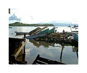 Five dead as 8.0 quake off Solomons sparks Pacific tsunami