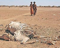 Millions in Ethiopia facing worst drought for decades: UN