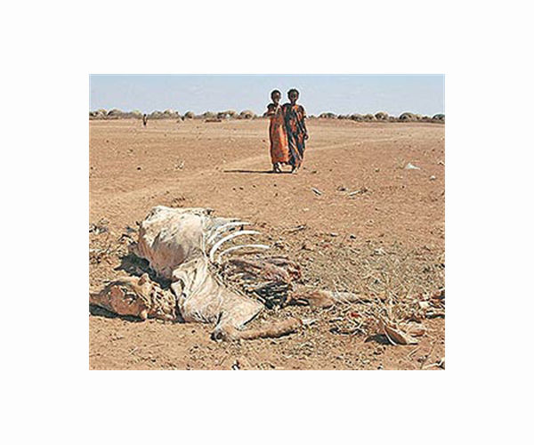 Pope urges help for drought-hit Somalia