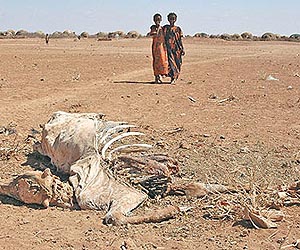 UNHCR wants access to all Somali regions