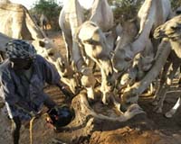 UN warns millions of Somalians could face food crisis