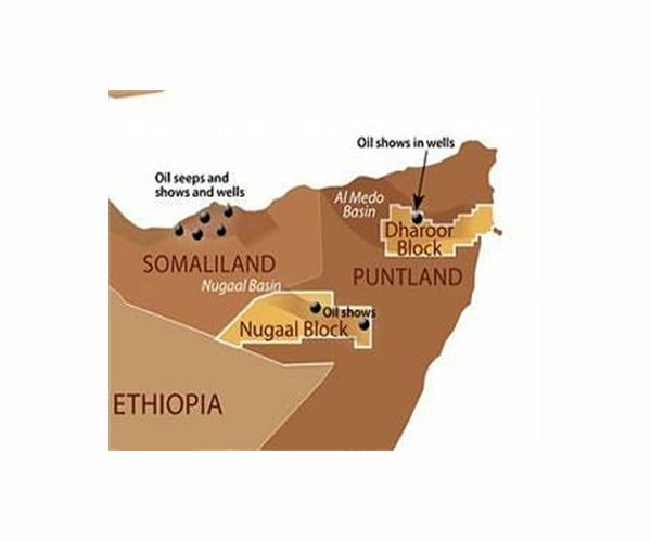 Somalia's Puntland releases arms cargo ship to Turkey