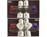 Asymmetric sound absorption lets in the light