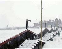 At Least 13 Dead In South African Cold Snap