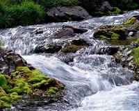 'Natural' sounds improve mood and productivity