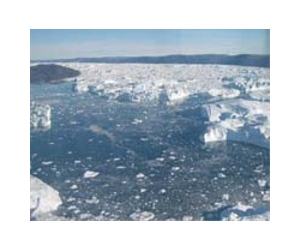 DRI scientist co-authors study outlining vast differences in polar ocean microbial communities