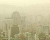 South Korea Issues Warning As Yellow Snow Falls