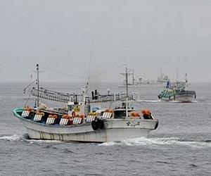 Japan asks WTO to intervene on S.Korean atomic fish ban