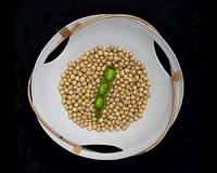 EU agrees plan to cap use of food-based biofuels