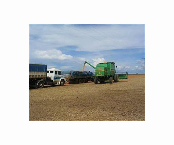 Argentine grain harvests threatened by persistent drought