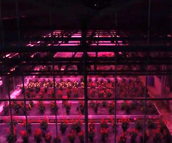 Vertical Future to develop crop-growing systems with UK Space Agency funding