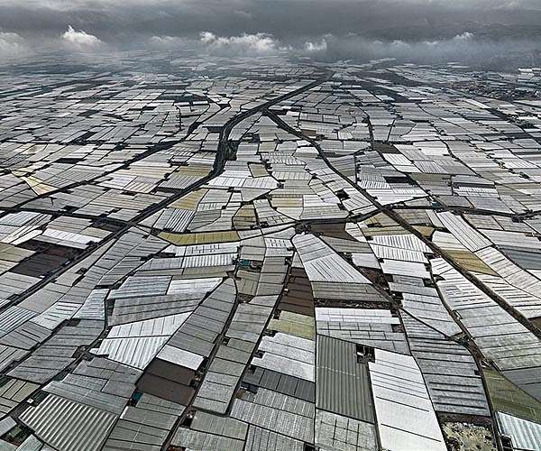 82% of EU farm subsidies bolster high emissions foods: study