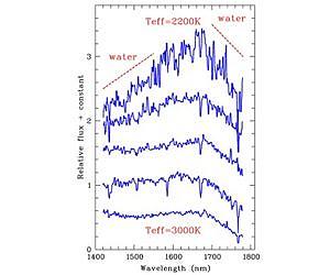 Astronomers find bounty of failed stars: One youngster only six times heftier than Jupiter