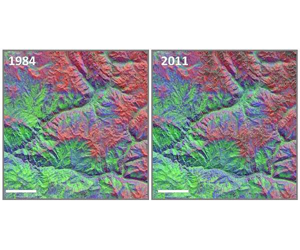 North American mountain vegetation is rapidly shifting higher as the climate warms