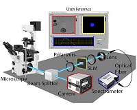 New tool enables viewing spectrum from specific structures within samples