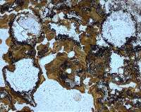 Oldest evidence of life on land found in 3.48-billion-year-old Australian rocks