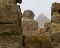 Egypt reports four new bird flu deaths