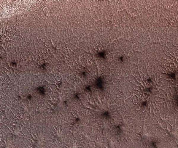 Are there living microbes on Mars? Check the ice