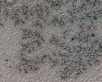 Seasonal 'spiders' emerge on Mars' surface
