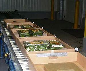 Farmers need help to plow through new food safety regulations