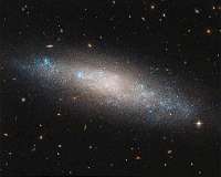 Hubble sights galaxy's celestial sequins