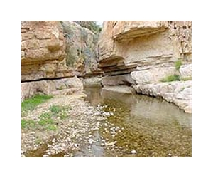Will Earlier Springs Throw Nature Out Of Step