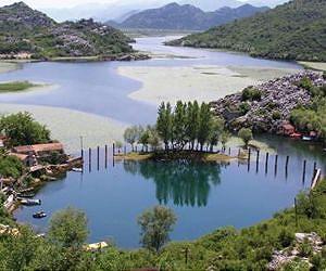 The splendid Skadar Lake (Montenegro and Albania), surprises with new species of snails