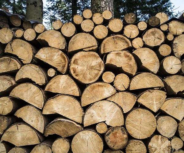 Canada announces challenge to US lumber tariffs