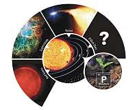 Stars rich in phosphorus: Seeds of life in the universe
