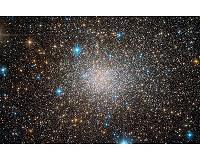 Terzan 5 Is Like No Other Globular Cluster