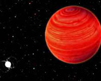 New Star-Type Stillborn
